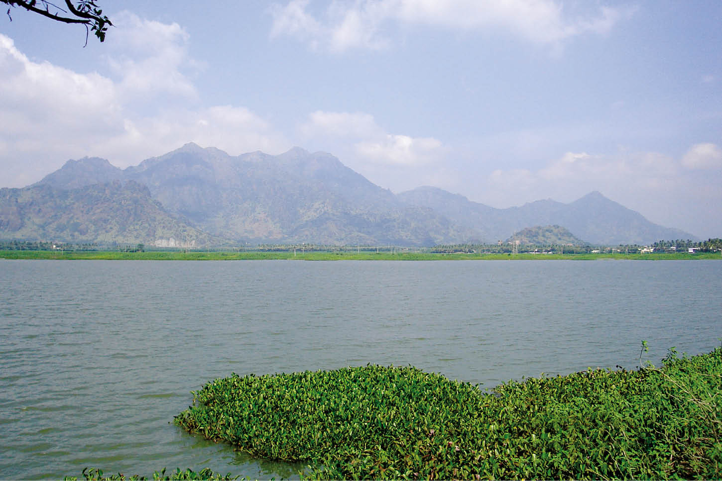 Type of Lakes